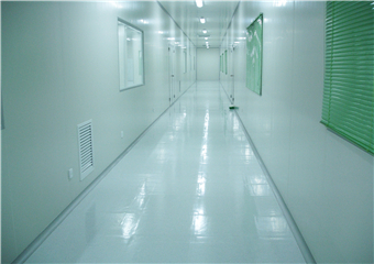 潔凈室走廊PVC防靜電地板